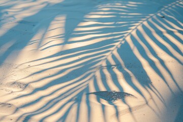 Palm shadow on sandy beach by the sea