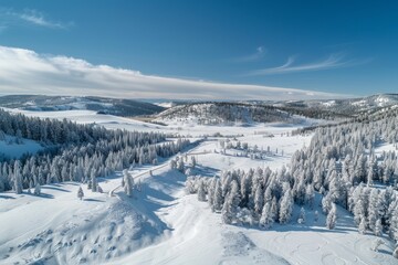 Fototapeta na wymiar Winter Landscape with Snowy Trees and Clear Blue Skies