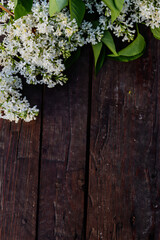 Spring lilak flowers have bloomed and lie on a table made of wooden planks