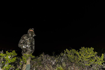 Observando las estrellas