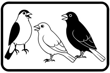 birds-white-eye-babbling-thrush-laughing-thrush black-border vector illustration