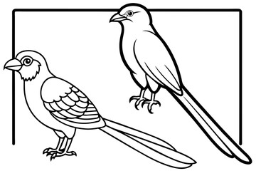 Obraz premium quetzal-trogon-motmot--out-side-of-black-border- vector illustration 