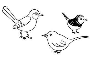 Fototapeta premium silhouette of a bird & silktail-fantail-wren-vector-illustration