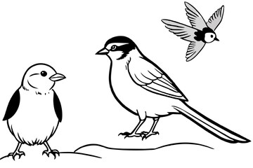 silhouette of a bird & silktail-fantail-wren-vector-illustration