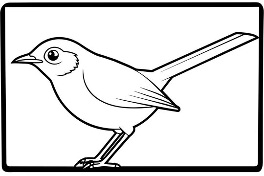 bird on a branch & white-eye-tailorbird-out-side-of-black-border -vector illustration