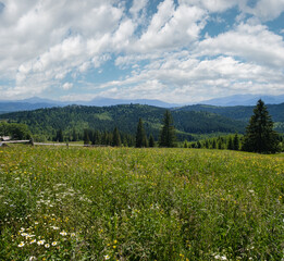 Fototapeta na wymiar Summer Chornohora massiv mountains scenery view from Sevenei hill (near Yablunytsia pass, Carpathians, Ukraine.)