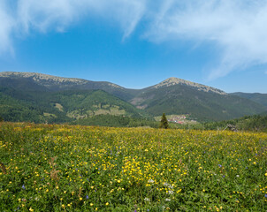 Summer Gorgany massiv mountains scenery view from Sevenei hill (near Yablunytsia pass, Carpathians, Ukraine.)