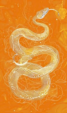 A stylized illustration of a snake on an orange background