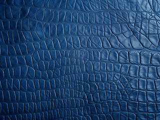 Fototapeta premium Perfect for graphic design, a high-quality photo showcases a blue textured background