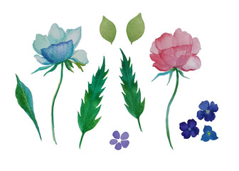 set of flowers, png