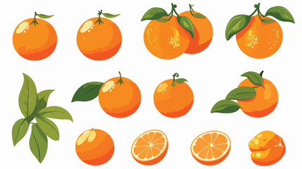 Orange Mandarin Fruit Unpeeled and Skinless with Se