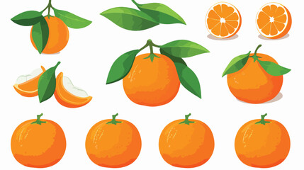 Orange Mandarin Fruit Unpeeled and Skinless with Se