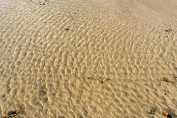 shallow water on a sand beach