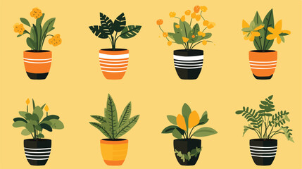 Ornamental plants in pots isolated on the yellow co
