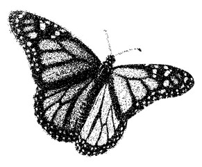 monarch butterfly isolated retro photocopy effect grunge stippling grain dots texture overlay y2k collage element transparent background