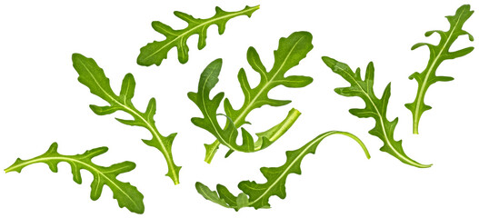 Rucola leaves, falling arugula salad isolated on white background