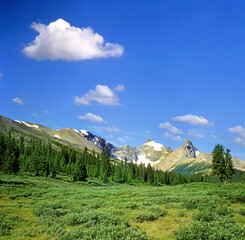 Parker Ridge in northern Banff National Park, Canadian Rocky Mountain Parks - UNESCO World Heritage Site