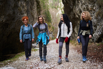 Women hikers with backpacks in the mountains