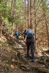 Naklejka premium Women hikers with backpacks in the mountains