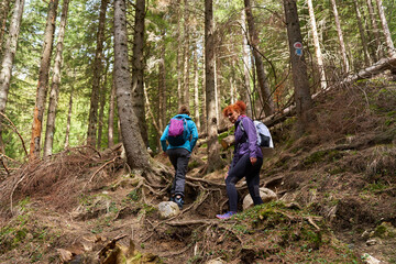 Naklejka premium Women hikers with backpacks in the mountains
