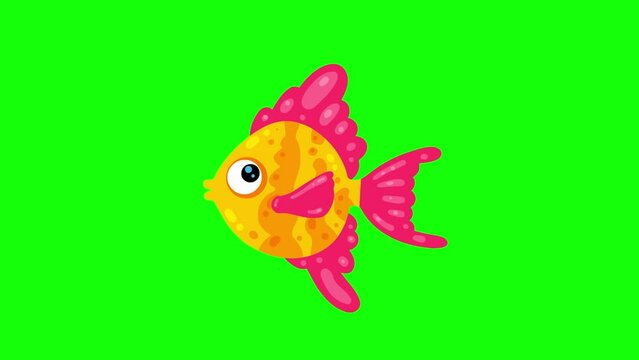 Cartoon aquarium fish animation greenbox. Tropical water character. Isolated character animal. Seamles loop.
