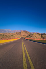 Fototapeta na wymiar Tarmac road across the desert by the Andes Mountains in Mendoza, Argentina.