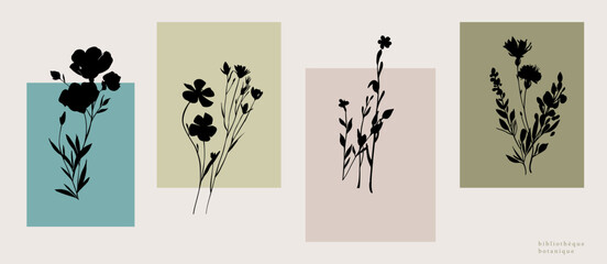 Meadow flowers vector illustration. Botanical header background - 781632061