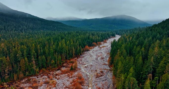 Rocky valley with narrow wavy streams running by. Thick pine tree woods and hazy mountains in the scenery of Mount Rainer national Park, Washington State, the USA from aerial perspective.
