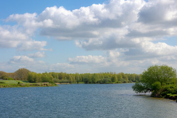 Spring landscape with new young leaves on the trees under blue sky, Natural along the Lek river, A river in the western of Netherlands, Schalkwijk is a small village in the Dutch province of Utrecht.