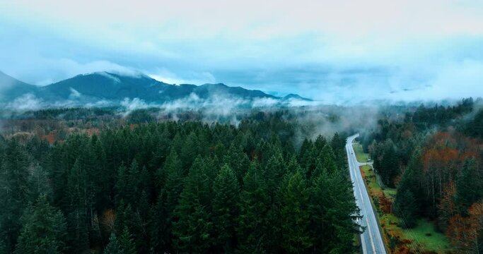 Amazing scenery of Mount Rainer national Park, Washington State, the USA. Drone footage above the pine-tree wood. Mountains in haze at backdrop.