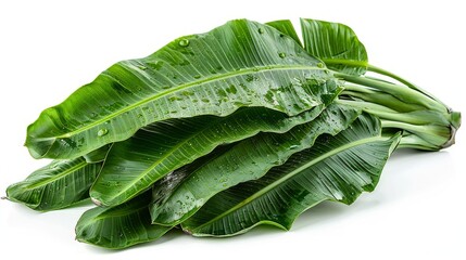 On a white background, a green juicy plantain leaf is isolated - obrazy, fototapety, plakaty