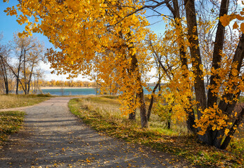 A peek at the lake and swim beach as viewed from one of the walking trails lined with golden...