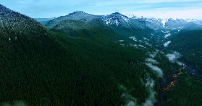 Mist covering the pine trees growing around the river at the foot of mountains. Gorgeous snow-capped mountains of Mount Rainer national Park, Washington State, the USA from top.