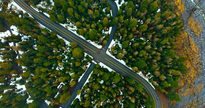Two cars are on the empty road crossing the pine-tree forest. Drone footage above the woods in winter.
