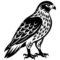 eagle vector illustration
