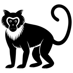 
Hoests monkey colobus silhouette vector style black & white.