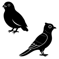 There are two birds on a branch but the branch is missing.