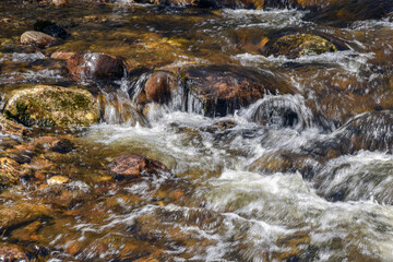 the cascading water of  willard brook