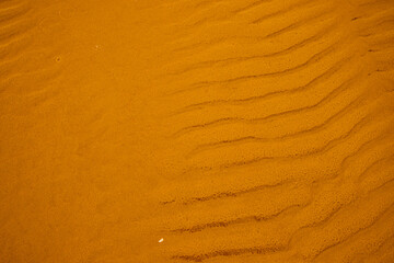Wet sand with sea water on a whole background. Empty wavy sandy sea bottom. Exotic Sandy Ocean...