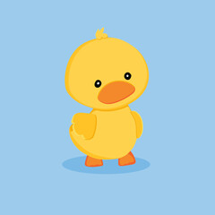 A little duck