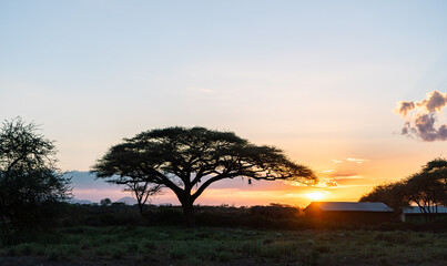 Park in kenya at sunset