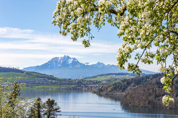 Mountain view over the Lake of Zug in central Switzerland with the famous Alpen peak Pilatus at the...