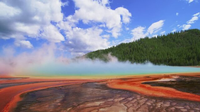 Famous spot in Wyoming, Grand Prismatic spring with thick mist and magnificent coloration near hills with coniferous forest under blue skies with fluffy clouds in summer. High quality 4k footage