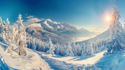 Snowy mountain landscape with trees and sun in the sky