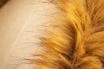 A close up of a furry animal's tail with a brown and orange color