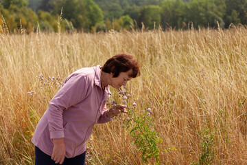 Naklejka na ściany i meble Elderly woman enjoying the beauty and fragrance of wildflowers in a tranquil wheat field setting