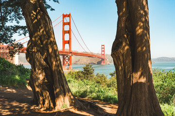 Golden Gate Bridge framed by the trunks of large trees on a sunny day, and clear blue sky in the background