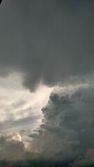 Dramatic Atmosphere: Clouds Gather Over Vibrant Blooms