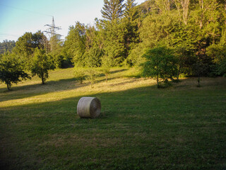 Hay bale in the rural landscape in germany