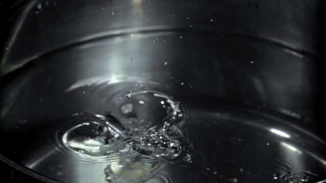 Super slow motion fresh vongole. High quality FullHD footage
